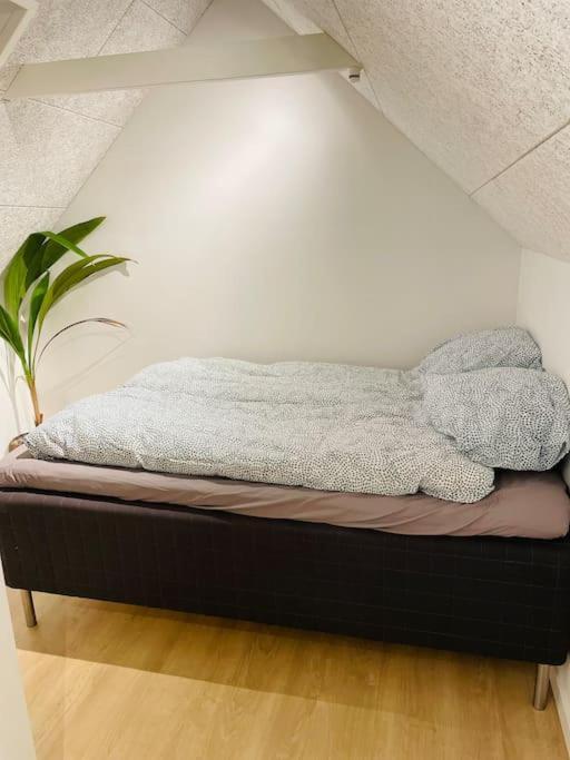 Lejlighed I Naturskont Omrade Silkeborg Zewnętrze zdjęcie